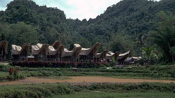 Деревня Тораджа на Сулавеси