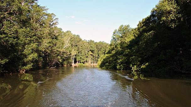 Канал Гуакалильо в Пунтаренасе
