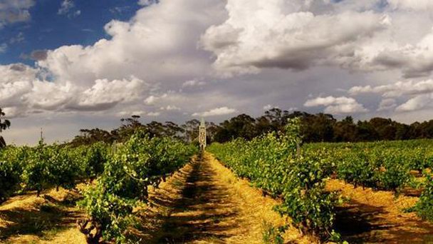 Винодельня Хеншке в Аделаиде