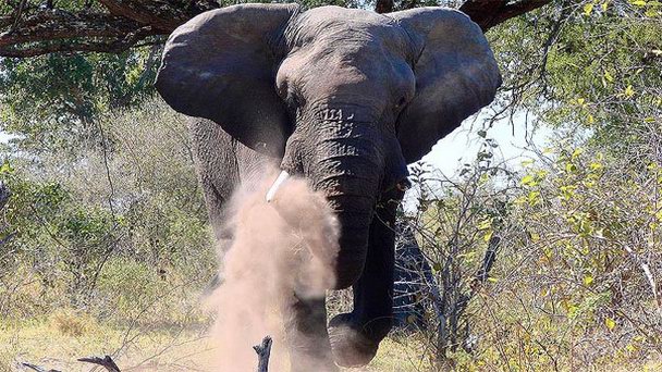 Национальный парк Мамили на Полосе Каприви