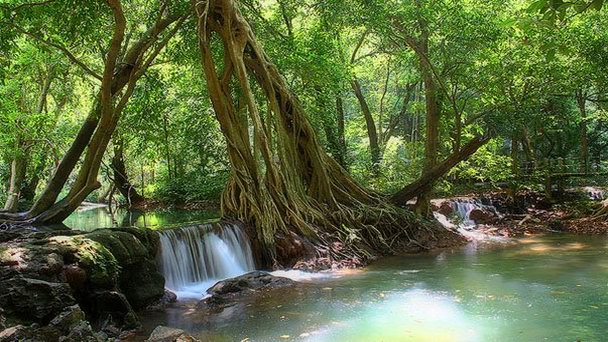Национальный парк Танбок Кхорани в Провинции Краби