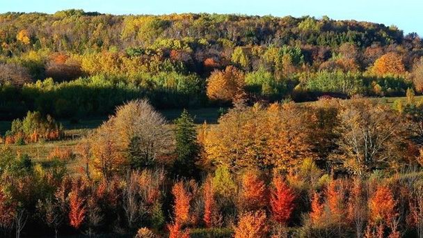 Провинциальный парк Mono Cliffs в Онтарио