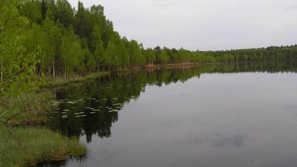 Свиное озеро в Архангельске