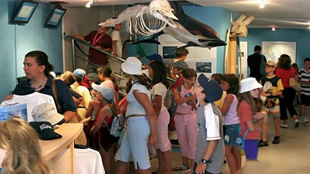 Исследовательский центр Голубой мир на Заливе Кварнер