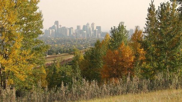 Парк Ноус-Хилл в Альберте