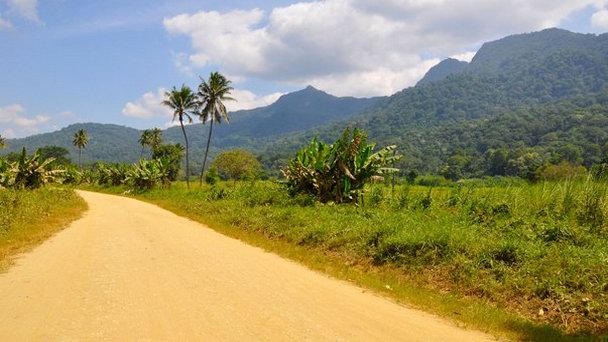 Национальный парк Удзунгва-Маунтинс