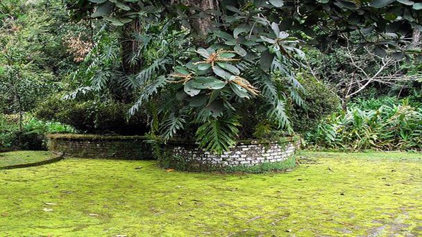 Сад «Уголок поэта» в Гвадалахаре