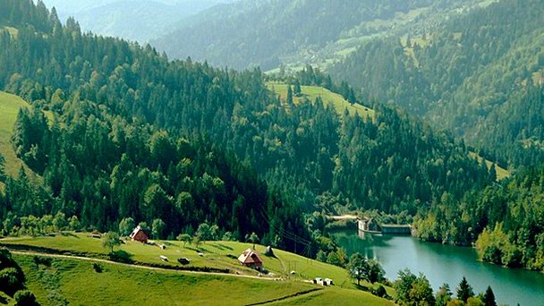 Национальный парк Тара в Нише