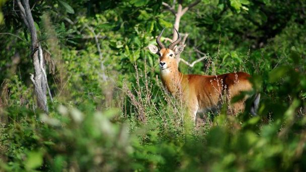 Национальный парк Моле