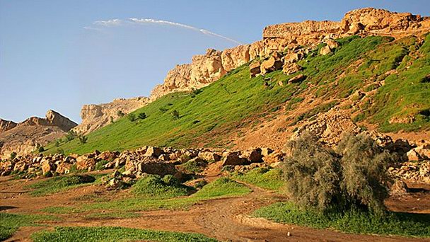 Парк в Аль Айне Парк в Аль Айне