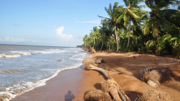 Пляж Шелл в Мабаруме