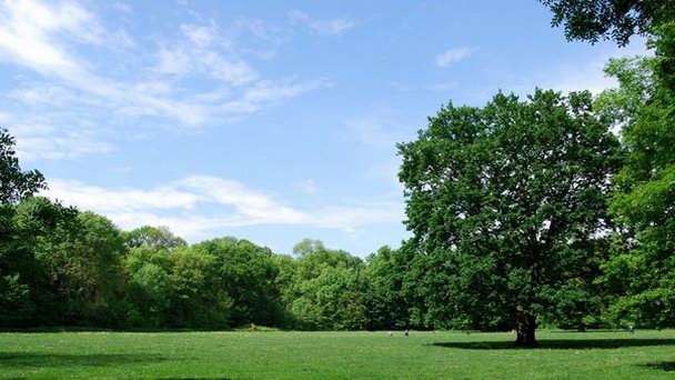 Место отдыха Ауэнвальд и Ауэнзее в Саксонии Место отдыха Ауэнвальд и Ауэнзее в Саксонии