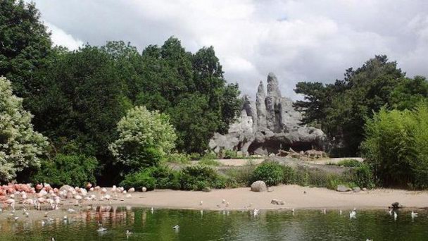 Зоопарк Хагенбека в Гамбурге