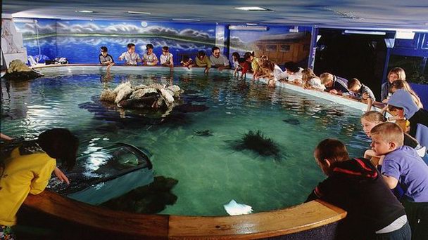 Океанариум-тропикариум в Будапеште