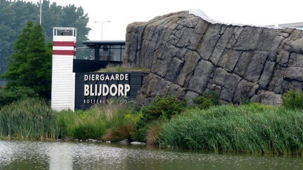 Зоопарк Diergaarde Blijdorp в Роттердаме