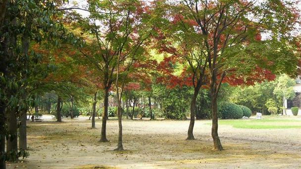 Долина Сяо Яо Гу в Ухане