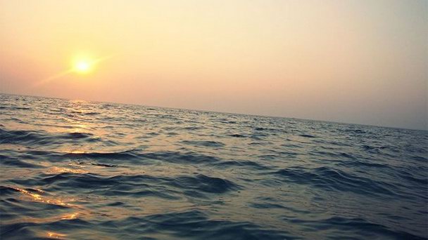 Хазарский заповедник в Туркменбаши Хазарский заповедник в Туркменбаши