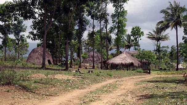 Деревня Боти в Тиморе