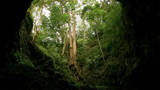 Ритуальная пещера майя в Антигуа-Гуатемале
