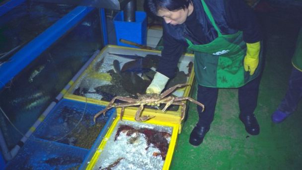 Рыбный рынок в Пхоханге в Кенджу