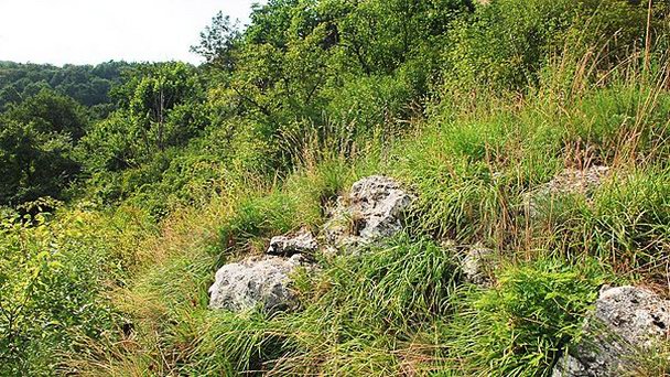 Заповедник Скалки-Пшегожалские в Кракове Заповедник Скалки-Пшегожалские в Кракове