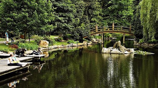 Японский сад во Вроцлаве Японский сад во Вроцлаве