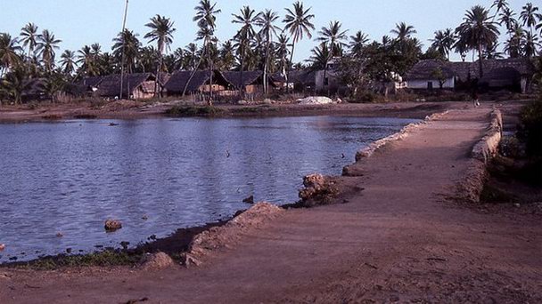 Остров Пате в Момбасе