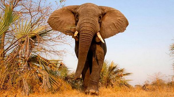 Национальный парк Катави