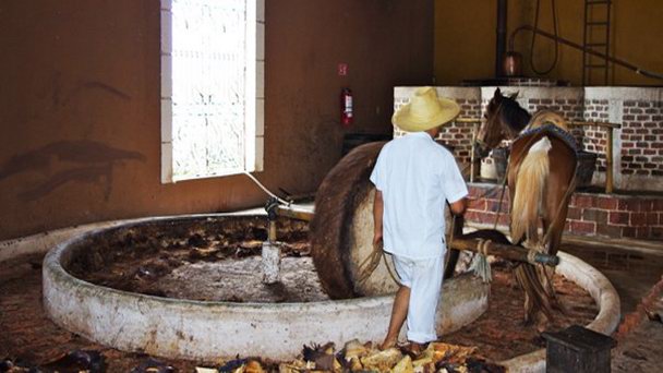 Фабрика «Дестилерия Артзанал де Агав» на п-ове Юкатан Фабрика «Дестилерия Артзанал де Агав» на п-ове Юкатан