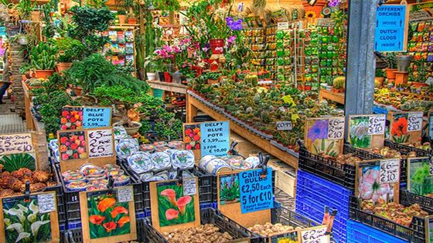 Амстердамский цветочный рынок