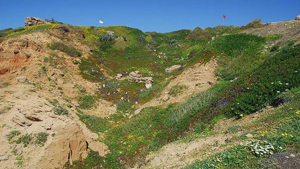Национальный парк Арсуф в Герцлии