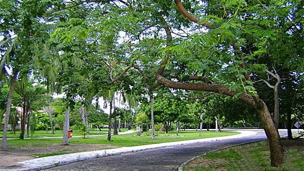 Парк Adahil Barreto в Форталесе