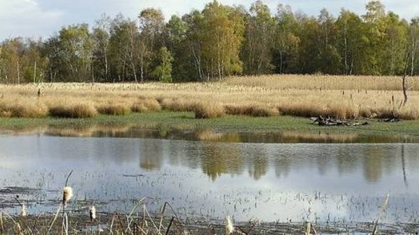 Природные источники газа в Франтишковых Лазне