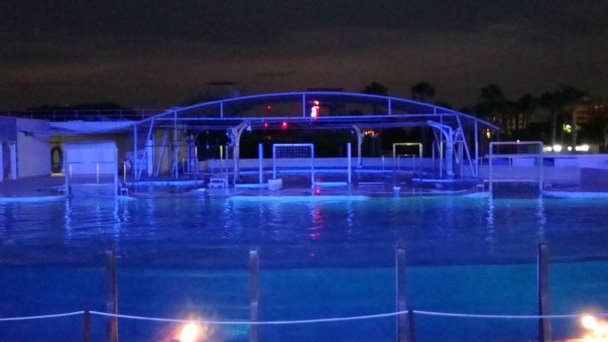 Дельфинарий в Коста Дуарада в Коста Даураде