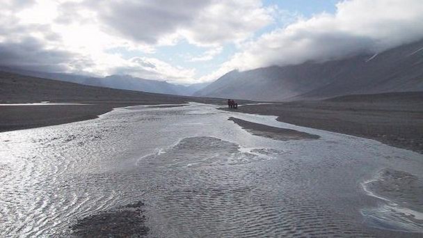 Клуб плавания Ванда в Антарктиде