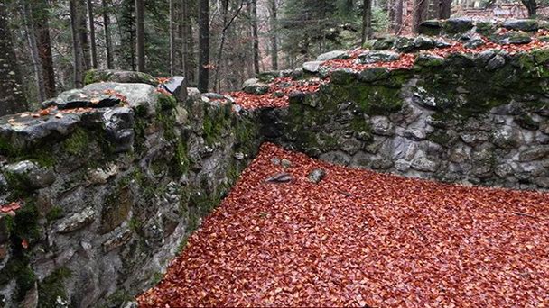 Замок Ариз об Киен в Берне Замок Ариз об Киен в Берне