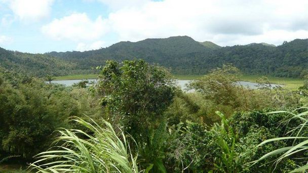 Национальный парк Этанг-Лейк-Форест-Ресерв на Гренаде