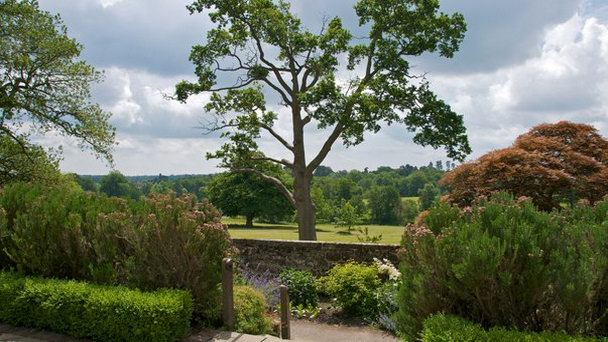 Борд Хилл в Англии
