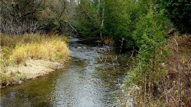 Река Моно в Сокоде