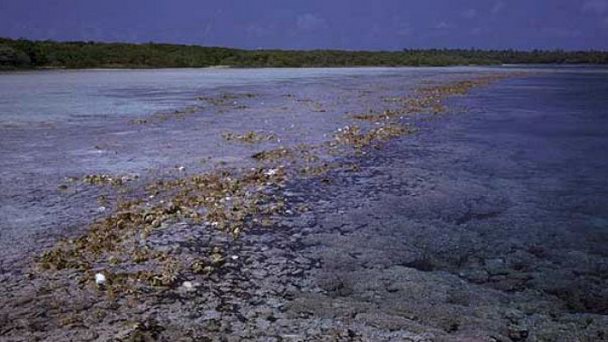 Остров Тридакна на о-вах Лайне