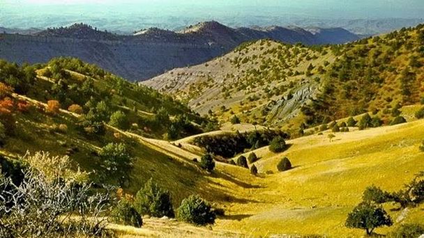 Сюнт-Хасардагский заповедник в Ашгабате Сюнт-Хасардагский заповедник в Ашгабате