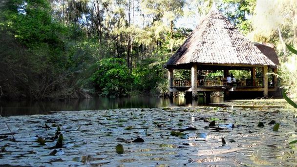 Парк Халлер в Момбасе