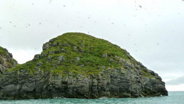 Остров Коберг в Квебеке Остров Коберг в Квебеке