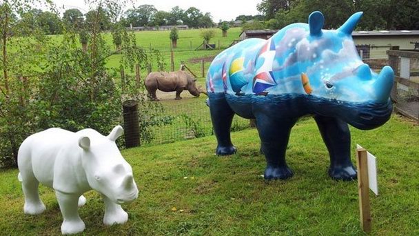 Зоопарк Марвелл в Англии