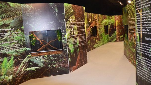 Зоопарк рептилий Маленькая Рэй в Оттаве Зоопарк рептилий Маленькая Рэй в Оттаве