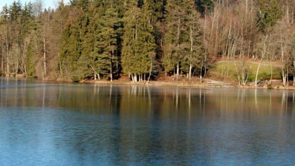 Озеро Эбни в Баден-Вюртемберге