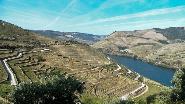 Кинта ду Сейшо в Дору