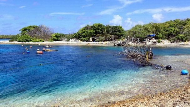 Остров Моту-Ана-Ана на о-вах Лайне Остров Моту-Ана-Ана на о-вах Лайне