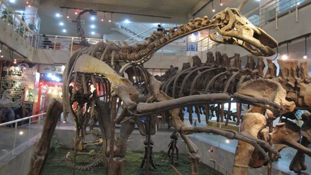 Палеозоологический музей Китая в Пекине Палеозоологический музей Китая в Пекине