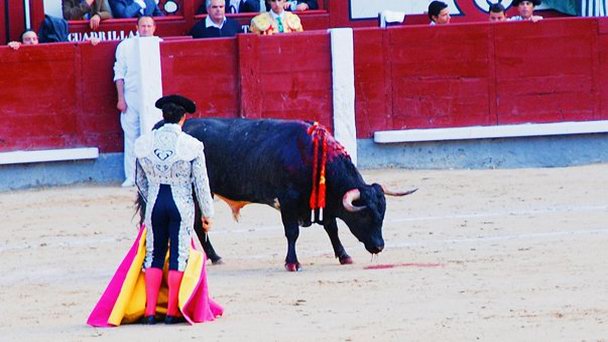 Коррида на арене Las Ventas в Мадриде Коррида на арене Las Ventas в Мадриде